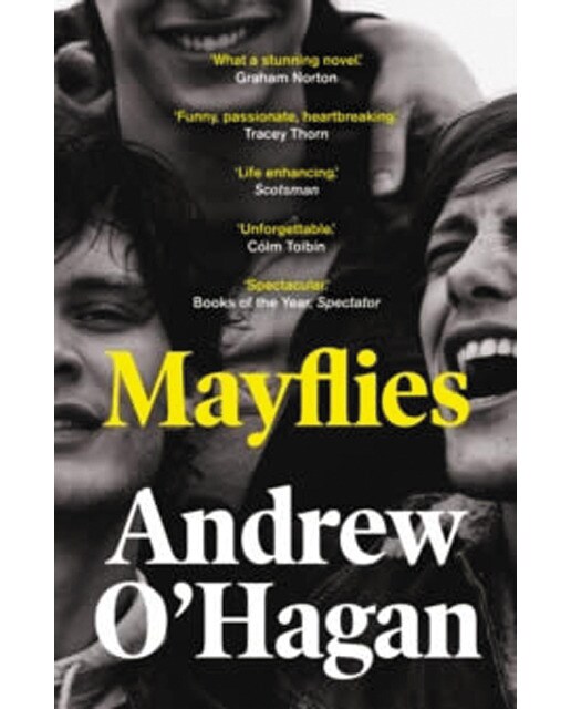 Mayflies 1