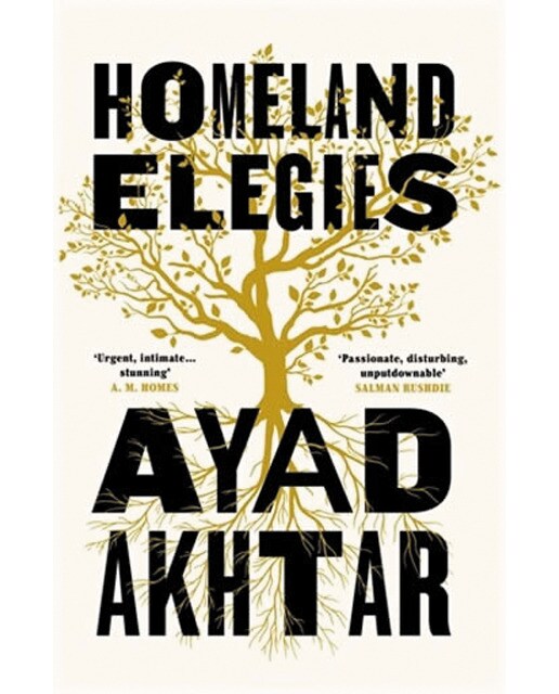 Homeland elegies 1