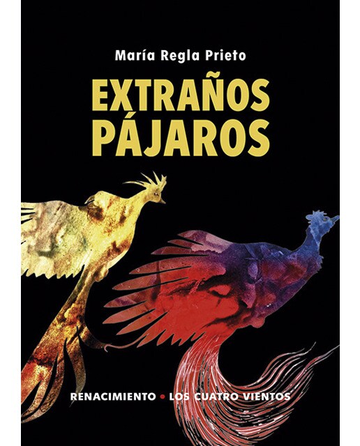 Extraños pájaros(Bolsillo) (Tapa blanda) 1