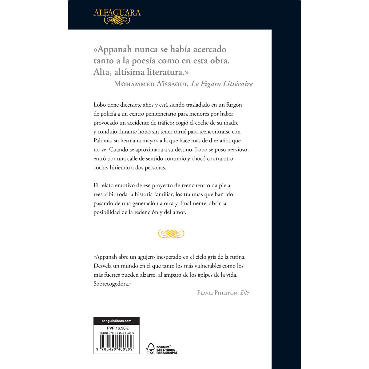 El cielo sobre el tejado (Tapa blanda) 2