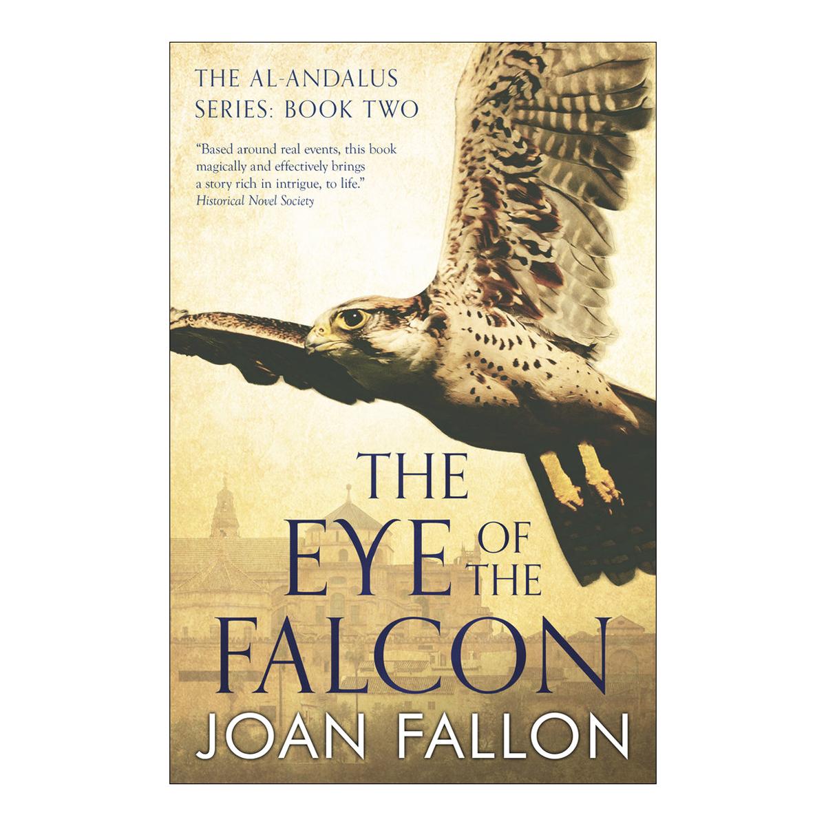 The eye of the falcon 1