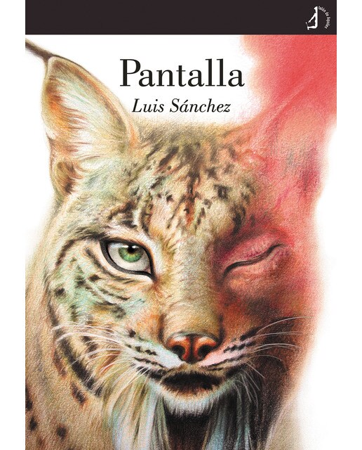Pantalla(Tapa blanda) 1