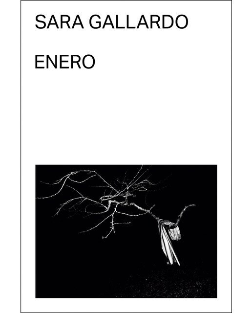 Imagen 0 de Enero (Tapa blanda)
