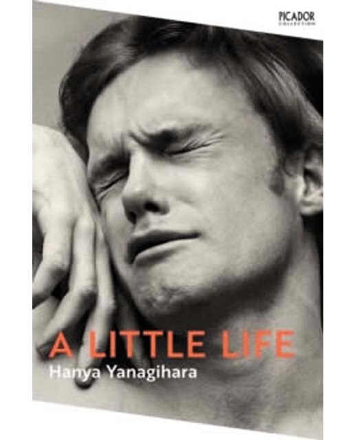 A little life 1