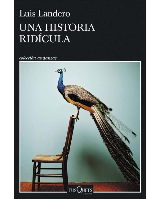 Imagen 0 de Una historia ridícula