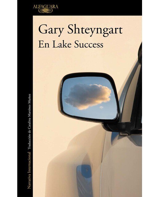 Imagen 0 de En lake success