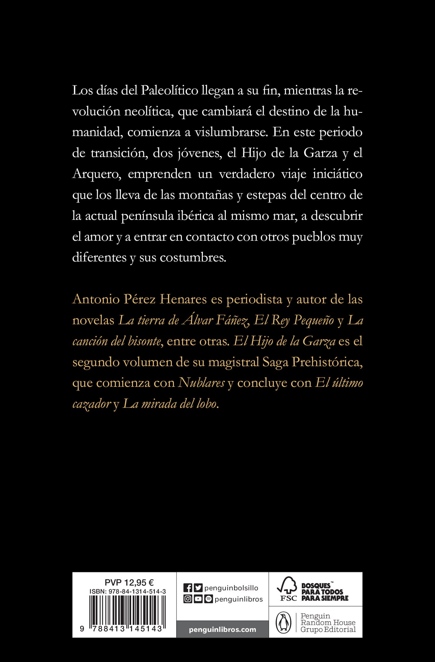 El hijo de la garza (saga prehistórica 2)(Tapa blanda) 2