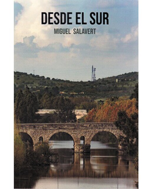 Imagen 0 de Desde el sur (novela)