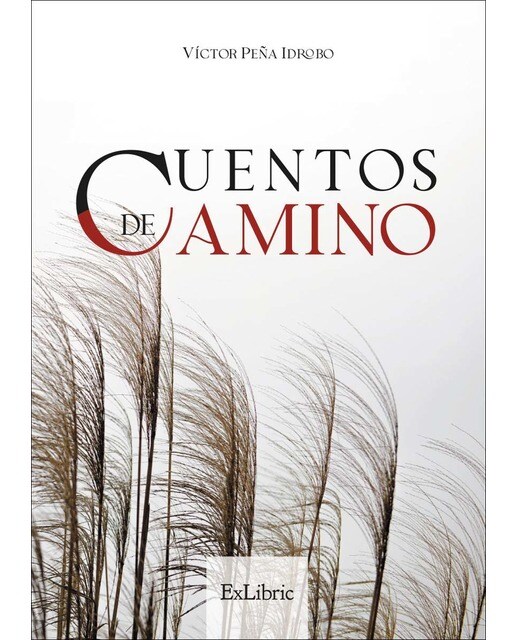 Cuentos de camino(Tapa blanda) 1