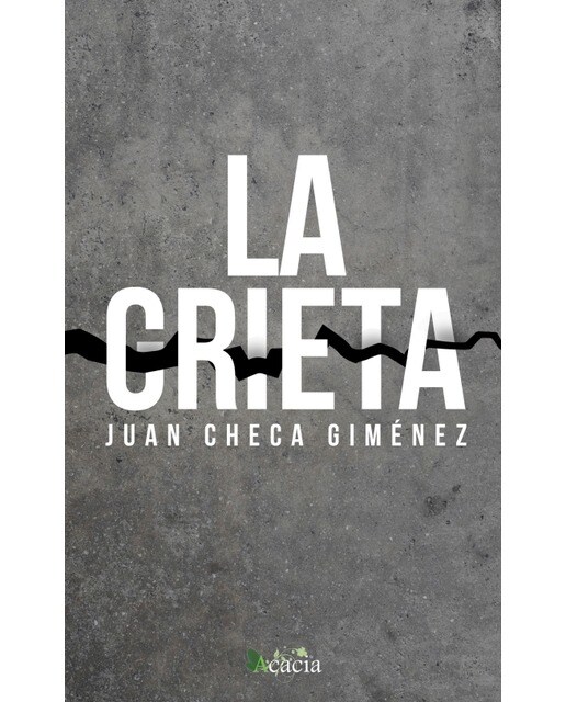 Imagen 0 de La grieta (Tapa blanda)