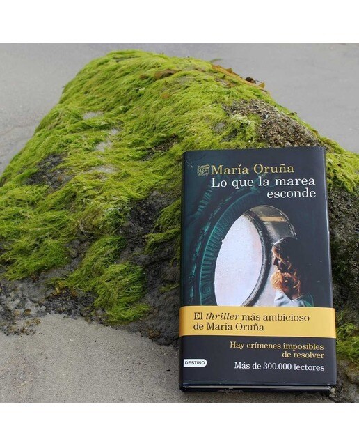 Lo que la marea esconde: Los libros del Puerto Escondido 4 (Bolsillo) (Tapa blanda) 3