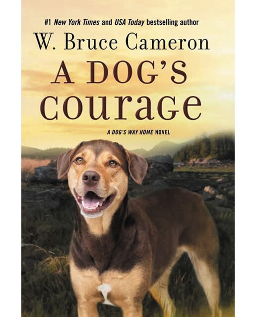 A dog's courage 1