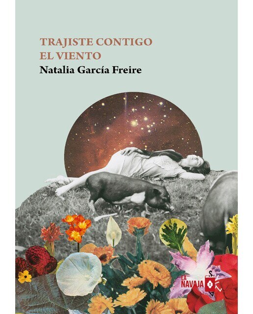 Imagen 0 de Trajiste contigo el viento