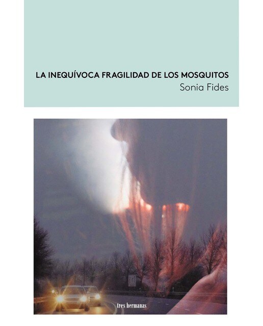 Imagen 0 de La inequívoca fragilidad de los mosquitos