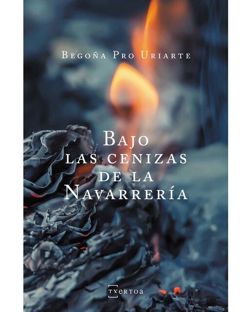 Bajo las cenizas de la Navarrería (Bolso) (Capa mole) 1