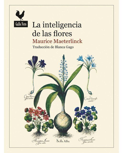 Imagen 0 de La inteligencia de las flores (Tapa blanda)
