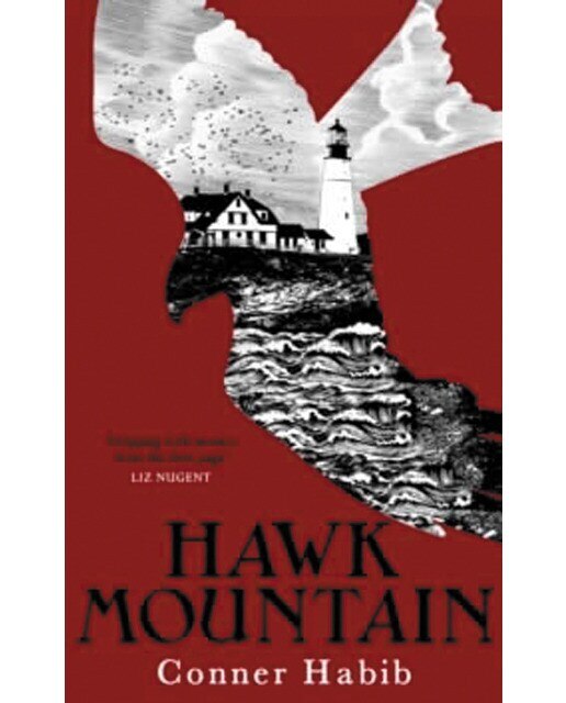 Hawk mountain 1