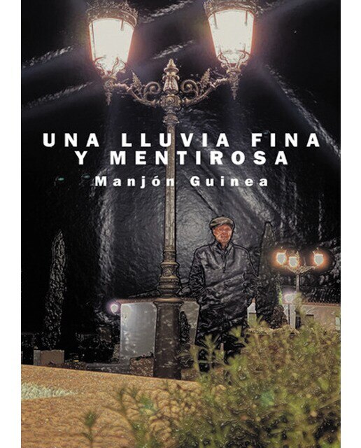 Imagen 0 de Una lluvia fina y mentirosa (Tapa blanda)
