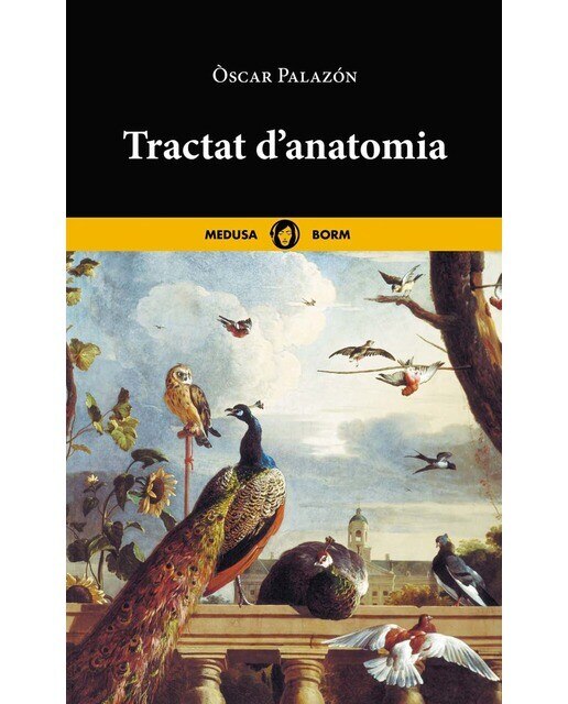 Imagen 0 de Tractat d'anatomia (Tapa blanda con solapas)