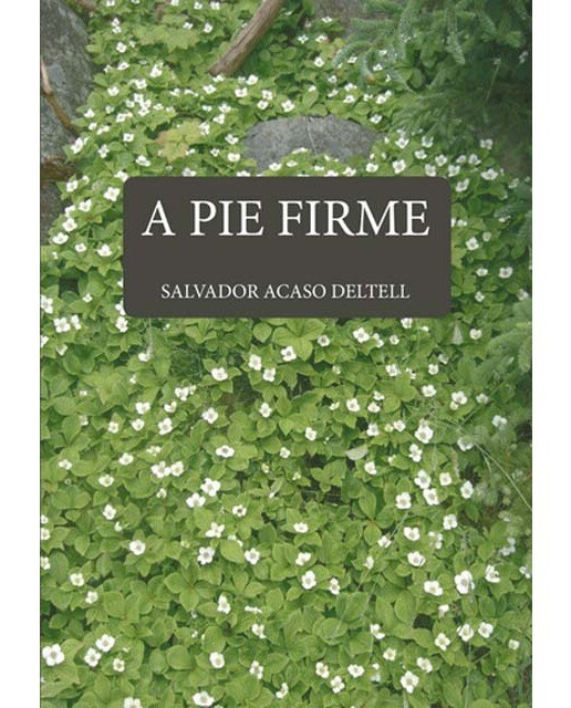 A pie firme 1