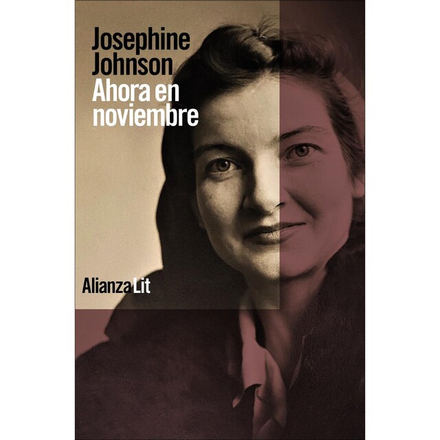 Ahora en noviembre  (Tapa blanda con solapas)