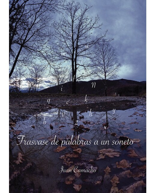 Trasvase de palabras a un soneto 1