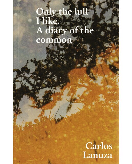 Imagen 0 de Only the lull I like.: A diary of the common.