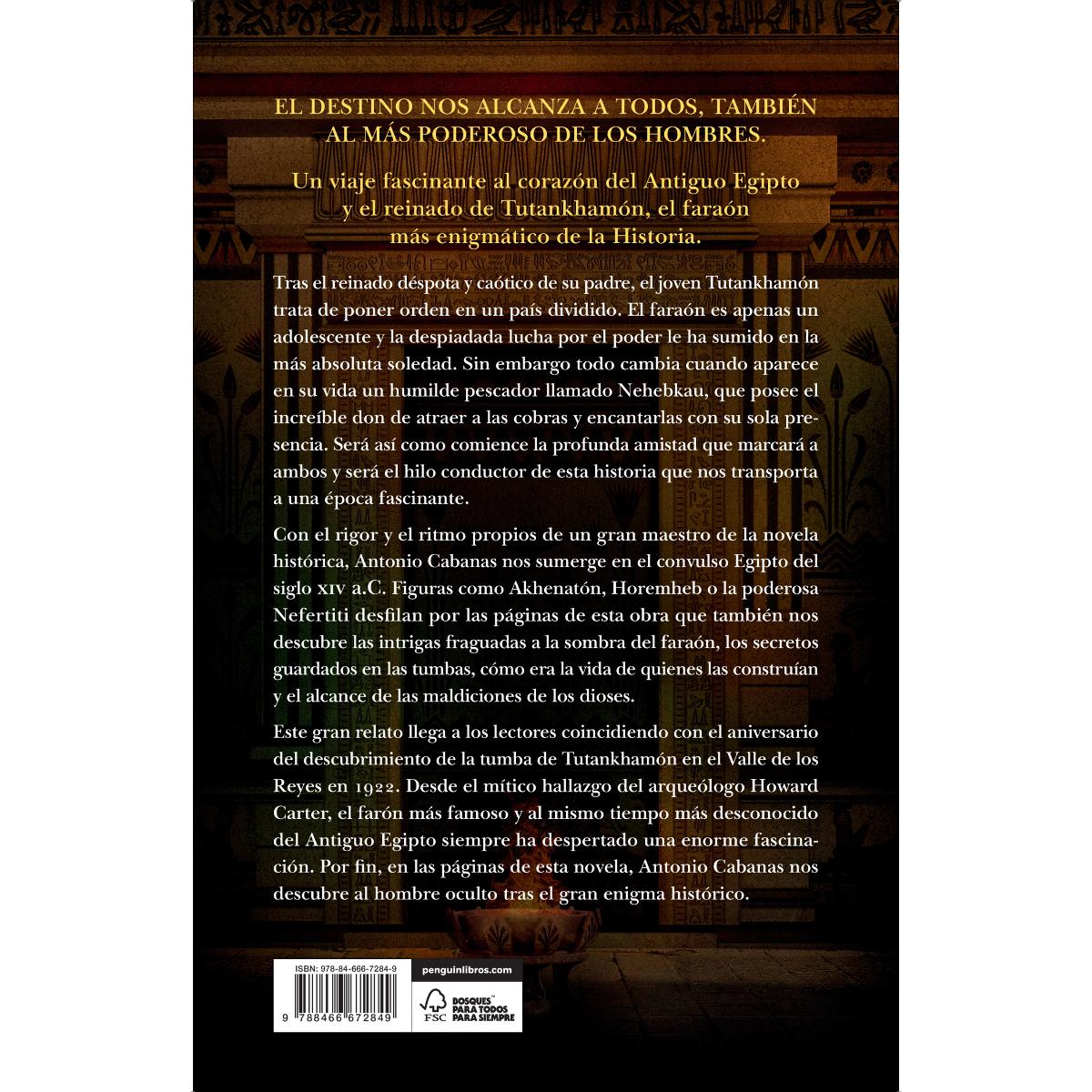 El sueño de Tutankhamón (Capa dura) 2
