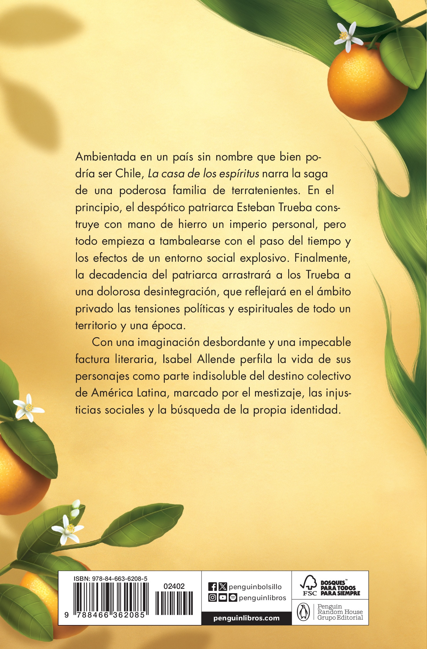 Imagen 2 de LA CASA DE LOS ESPÍRITUS (Bolsillo Tapa blanda)
