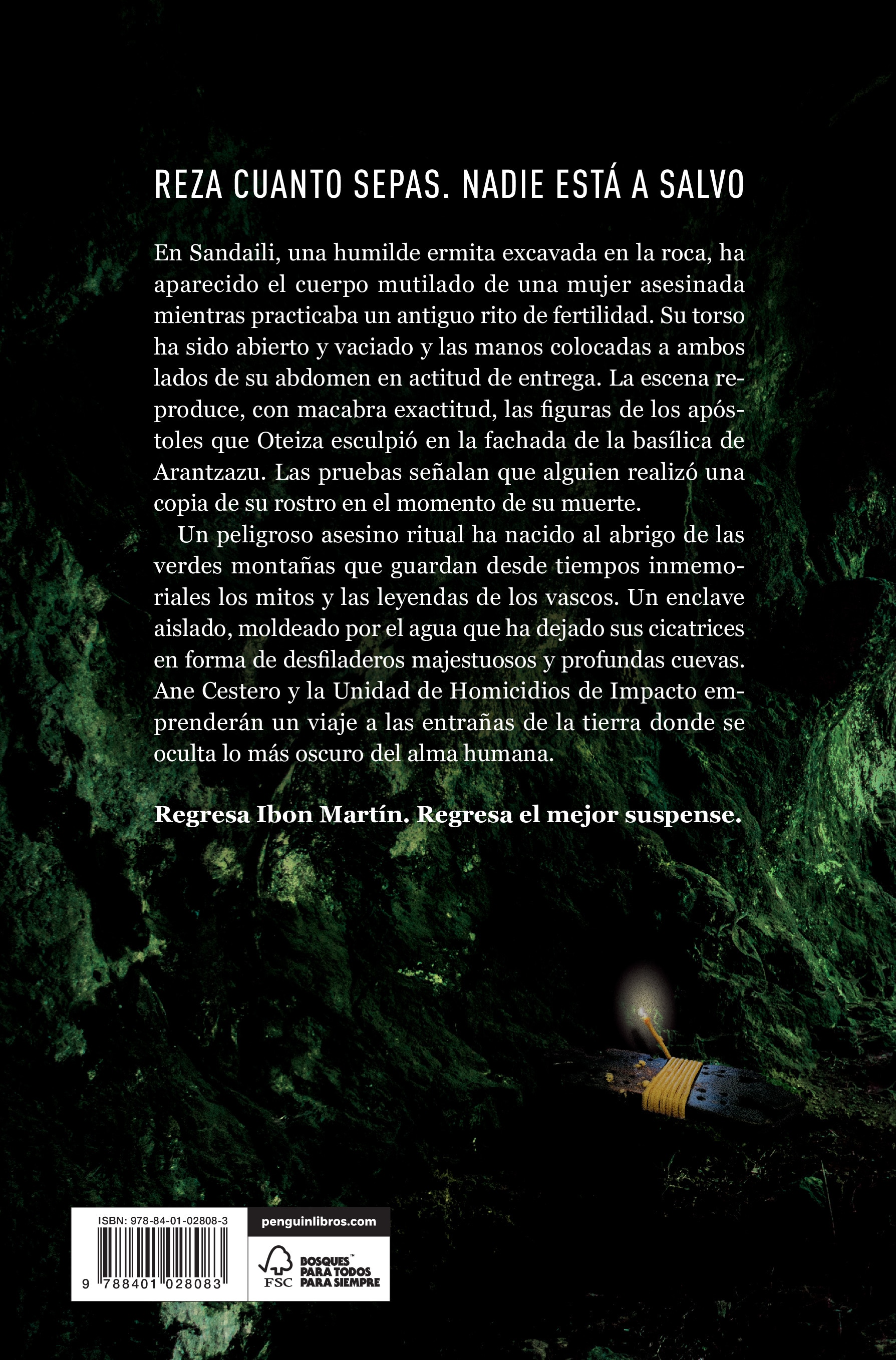 El ladrón de rostros (Inspectora Ane Cestero 3) (Capa mole) 2