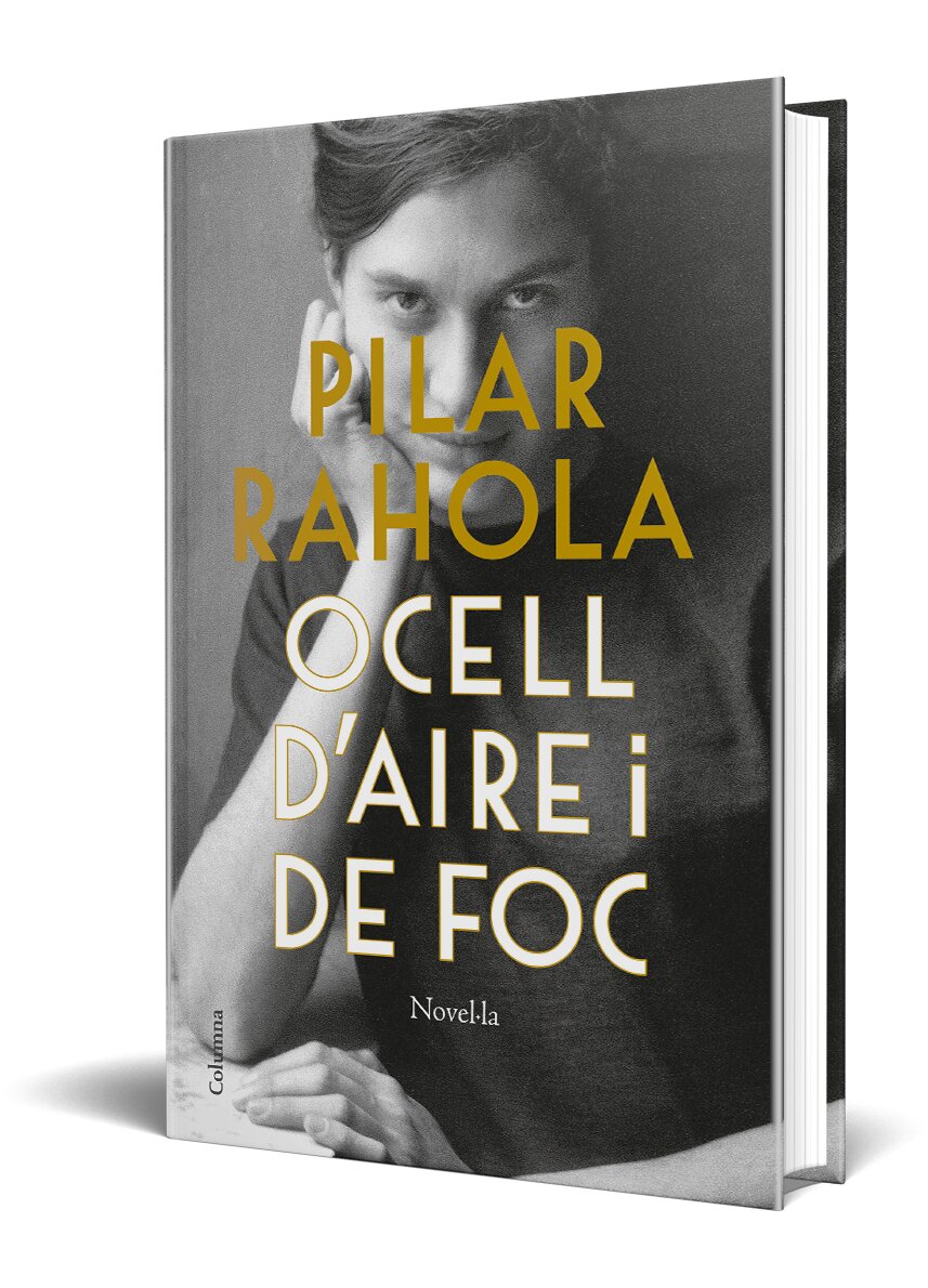 Ocell d'aire i de foc 2