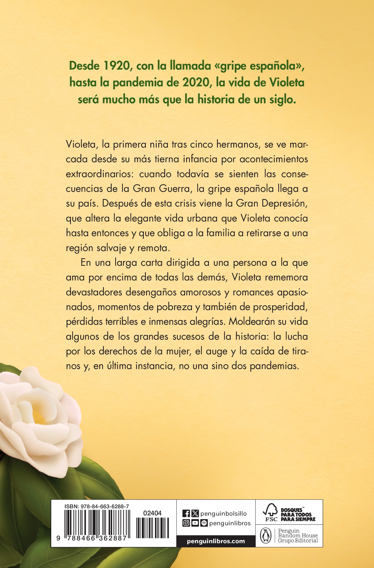 Violeta 2
