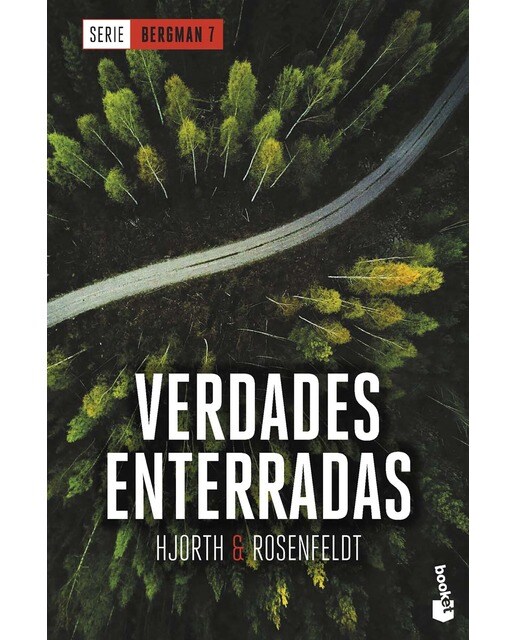 Imagem 0 de Verdades enterradas (Serie Bergman, 7): Serie Bergman, 7 (Bolso)