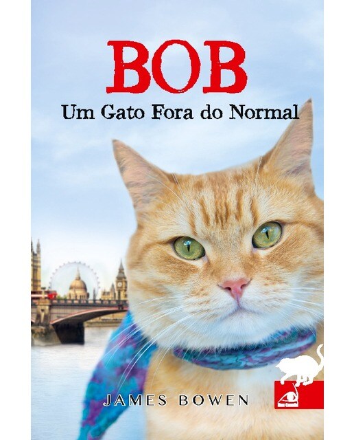 Bob um gato fora do normal 1