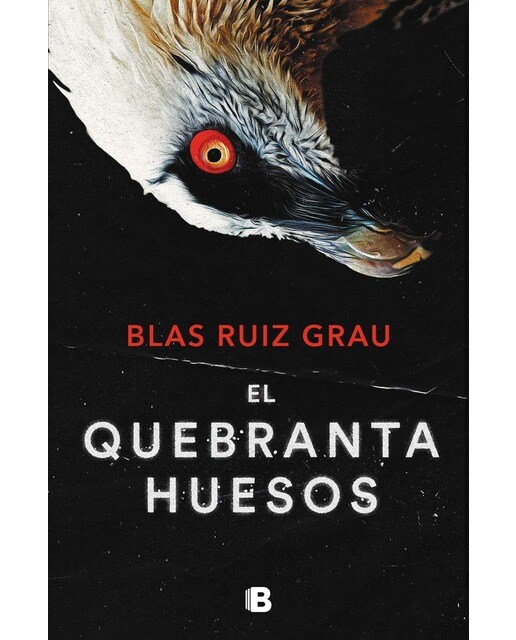 Imagen 0 de El quebrantahuesos (Nicolás Valdés 4) (Tapa blanda)