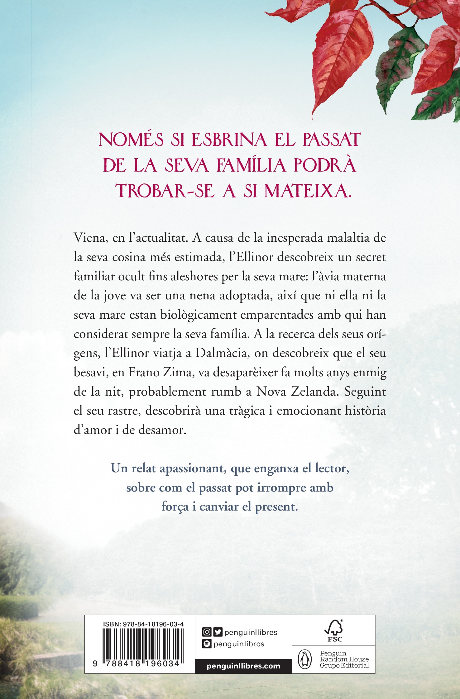 El secret de la casa del riu (edició limitada) 2