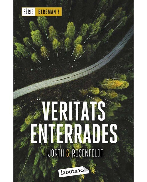 Veritats enterrades: Sèrie Bergman 7 (Bolso) 1