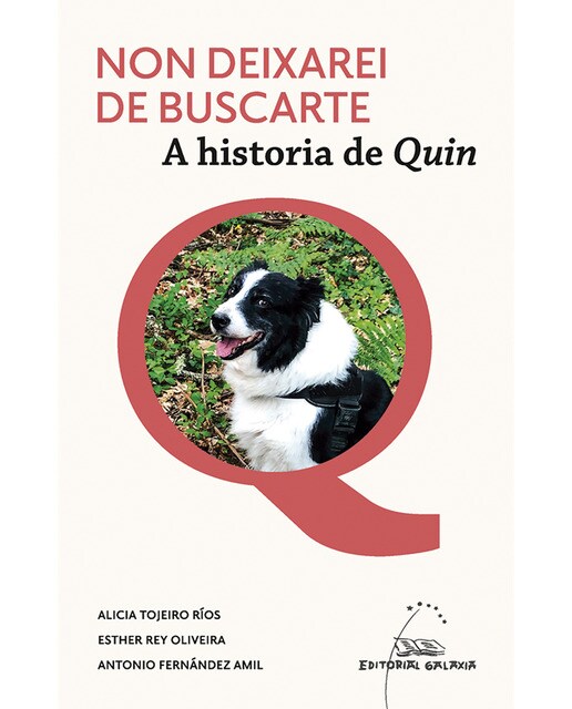 Non deixarei de buscarte. A historia de Quin (Capa mole com abas) 1