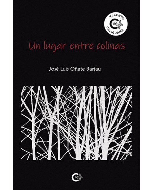 Imagen 0 de Un lugar entre colinas (Tapa blanda)