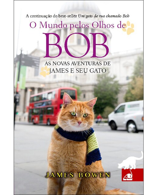 O mundo pelos olhos de bob