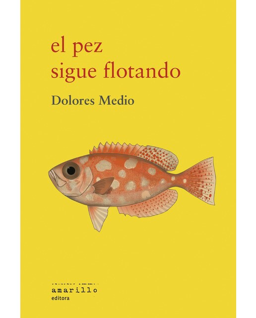 Imagen 0 de EL PEZ SIGUE FLOTANDO (Tapa blanda Tapa blanda con solapas)