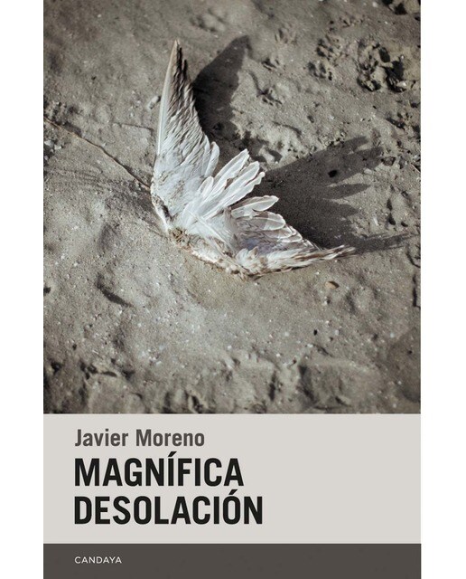 Imagen 0 de Magnífica desolación