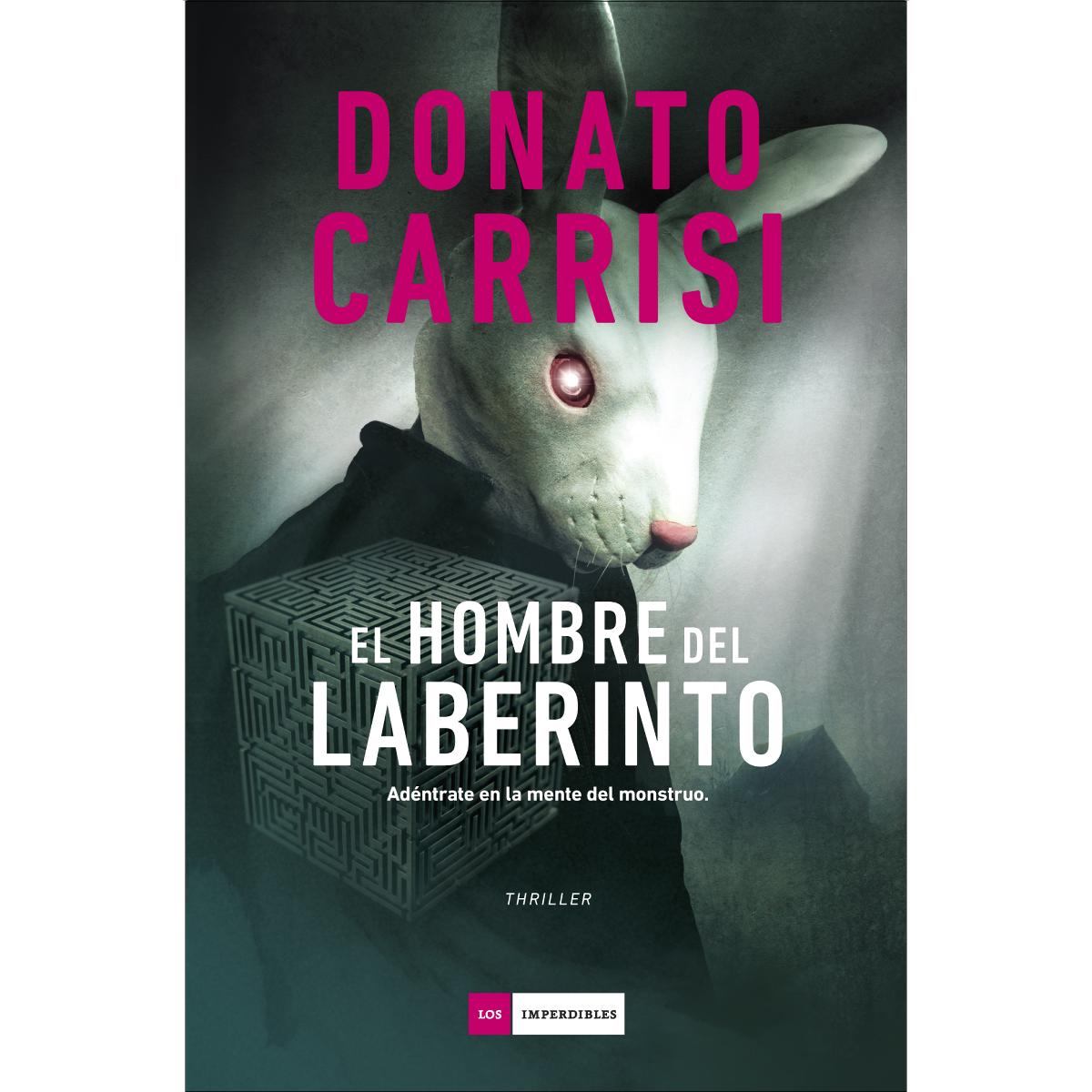 El hombre del laberinto  (Tapa blanda con solapas) 1