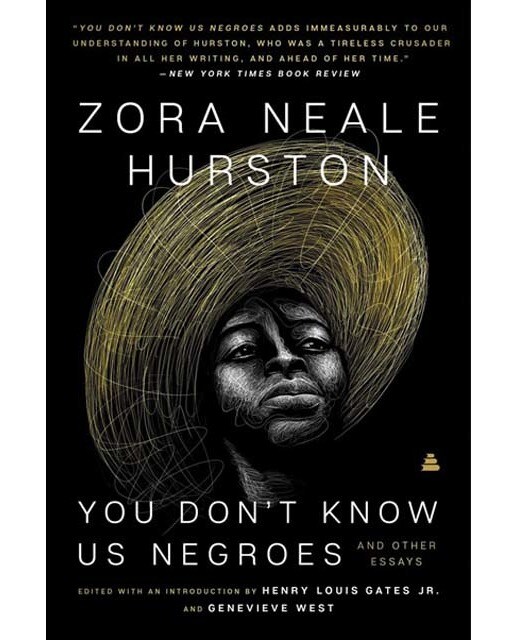 You don't know us negroes and other essays 1