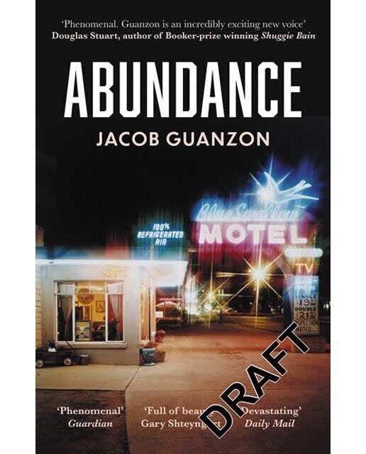 Abundance 1