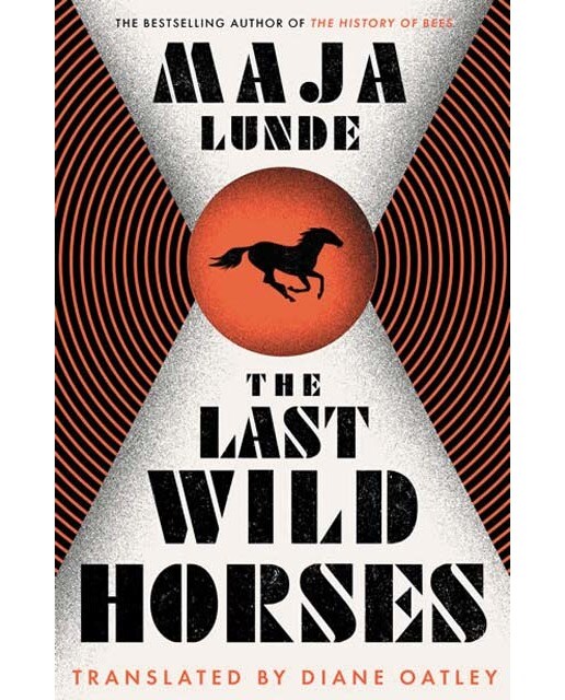 Last wild horses 1