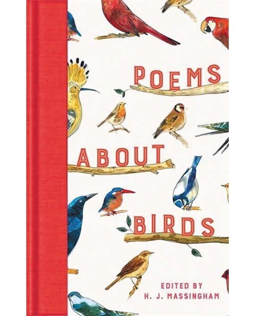 Poems about birds 1