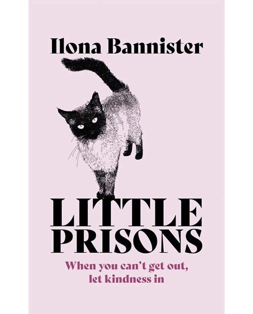 Little prisons 1
