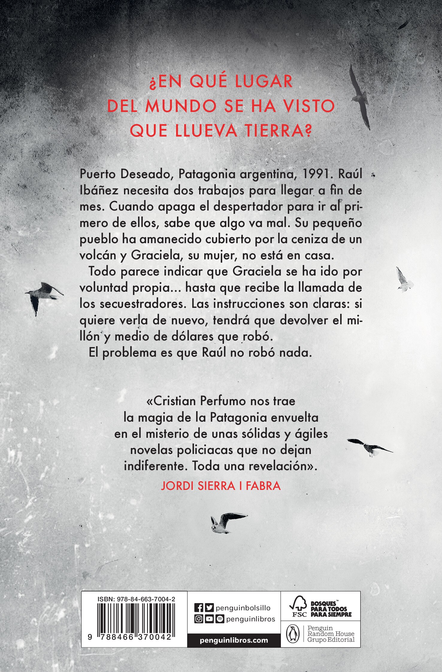 Imagen 2 de Rescate gris (Tapa blanda)