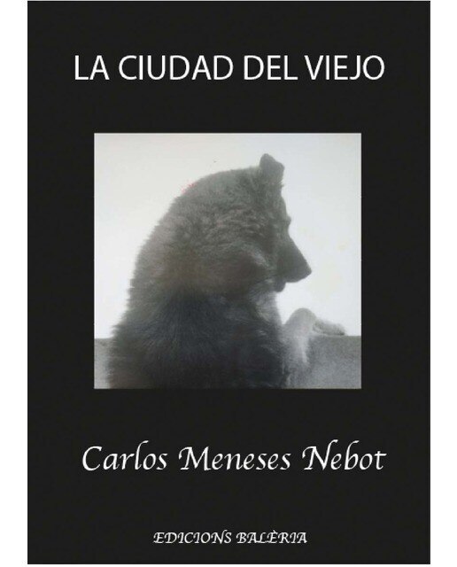 LA CIUDAD DEL VIEJO 1